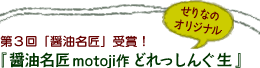 ��3��u�ݖ������v��܁I�ݖ������̃h���b�V���O�u���vmotoji��